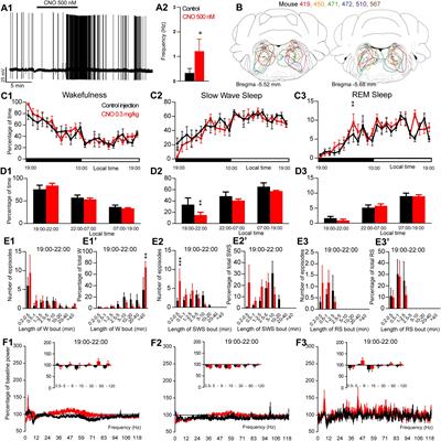 Differential Role of Pontomedullary Glutamatergic Neuronal Populations in Sleep-Wake Control